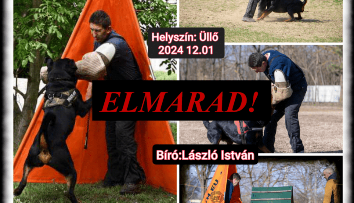 elmarad