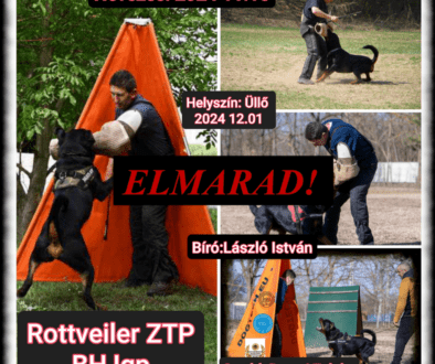 elmarad